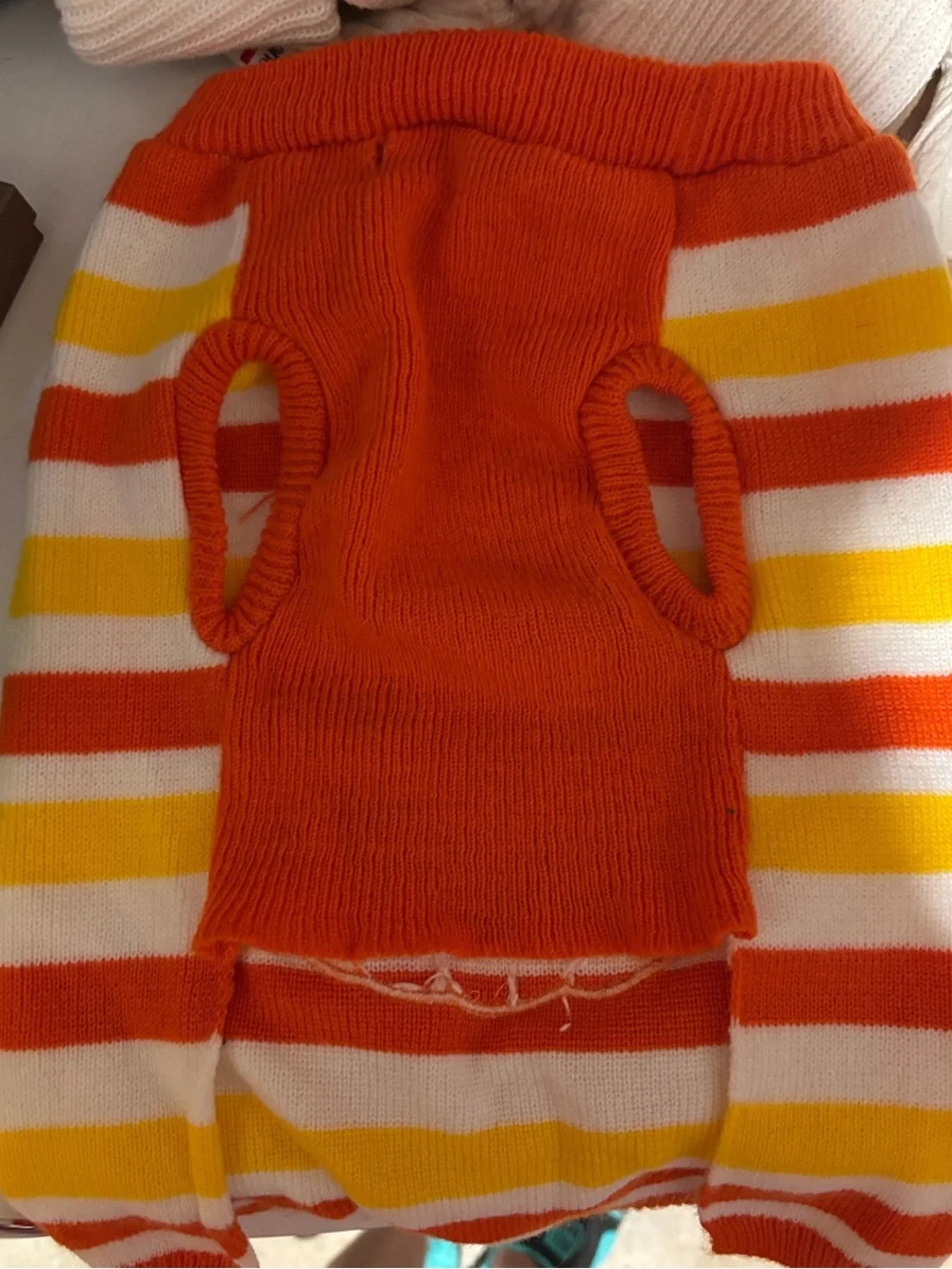 Striped Halloween Pumpkin Dog Costume Sweater - Martha Stewart Pets